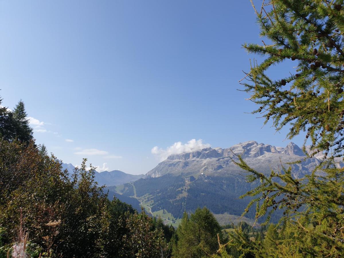 Chalet Helen アラッバ エクステリア 写真
